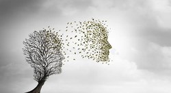 Hayatın Kimyasal Başlangıcı: Amino Asitler Nasıl Oluştu?