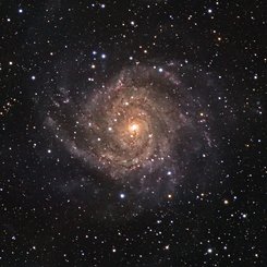 IC 342: Hidden Galaxy in Camelopardalis 