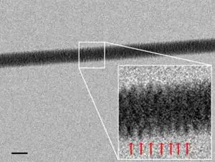 Fotoğrafın daha da büyütülmesiyle karşımıza çıkan DNA ipliği görüntüsü.