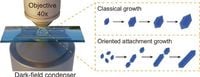 Imaging of coexisting classical and non-classical oriented attachment growth pathways in covalent organic framework microcrystals - Nature Communications