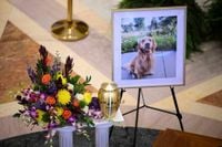 Biden to attend funeral for former Minnesota House Speaker Hortman, who was killed in shooting