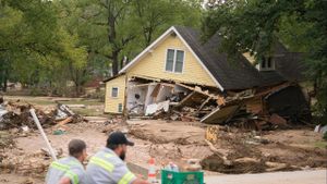 Insurance Industry Faces Billions In Losses From Hurricanes Helene And Milton