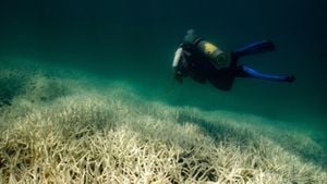 Great Barrier Reef Endures Extreme Heat Threatening Coral