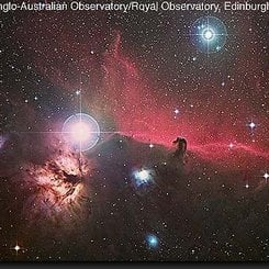 Orion'un Atbaşı Bulutsusu