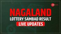 Nagaland Dear Mahanadi 1 PM Lottery Result 01-05-2025 (OUT): Thursday Lucky Draw DECLARED At 1 PM- 1 Crore First Prize, Check Full List Here