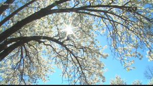 Early Spring Weather Causes Regional Temperature Swings