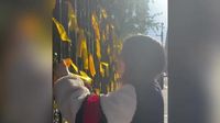Woman cuts down yellow ribbons commemorating Israeli hostages