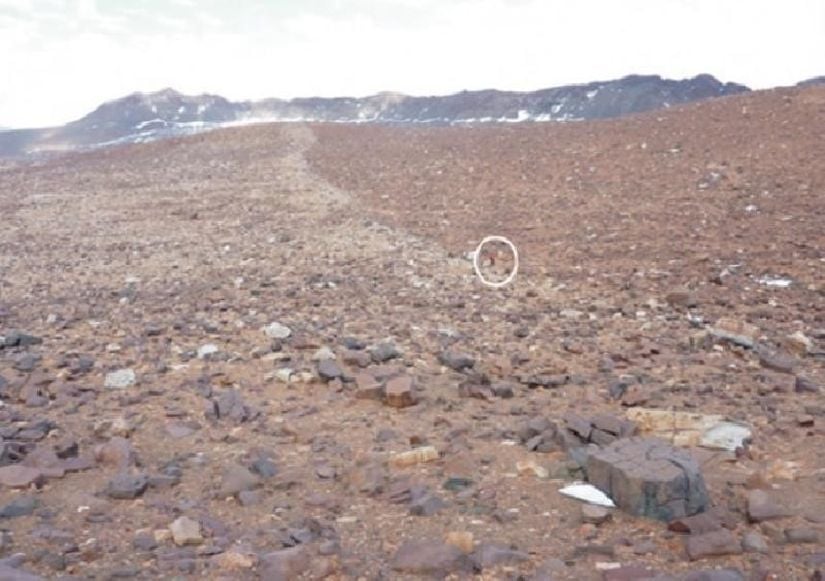 Periglasyal kaldırımları. Fotoğraf, Antarktika'da bulunan Darwin dağları'nın kuzey tarafındaki Hattanton buzulu çevresinde çekilmiştir.