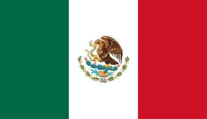 Mexico Moves To Disband Seven Watchdog Agencies