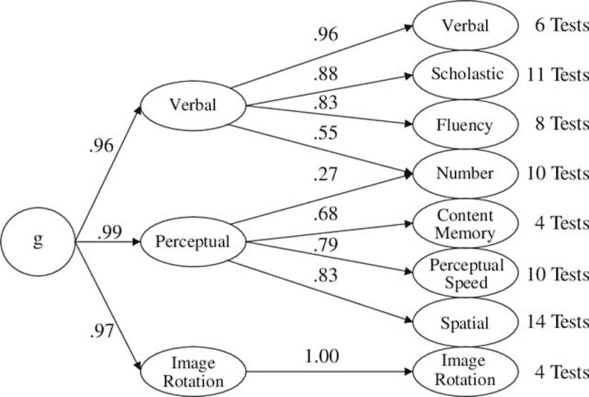 g-VPR modelinin yapısal bölmelerini gösteren şematik bir diyagram.