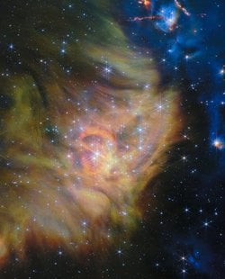 Feed image