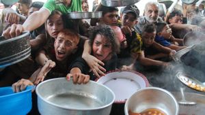 Gaza Faces Severe Food Crisis Amid Flour Shortage