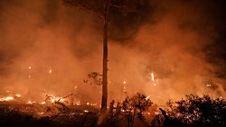 Orman/Ot Yangınlarında KKT kullanımı: İnsan Ve Doğa Üzerindeki Etkileri