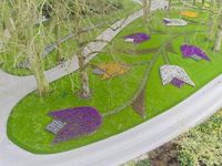 Keukenhof 2025 geopend: Bewonder miljoenen bloemen!