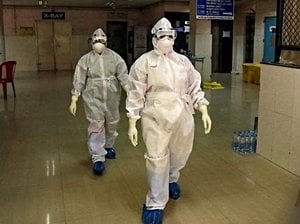 Nipah Virus Outbreak In West Bengal Sparks Urgent Response