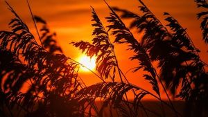 Summer Solstice Marks Longest Day And Season Start