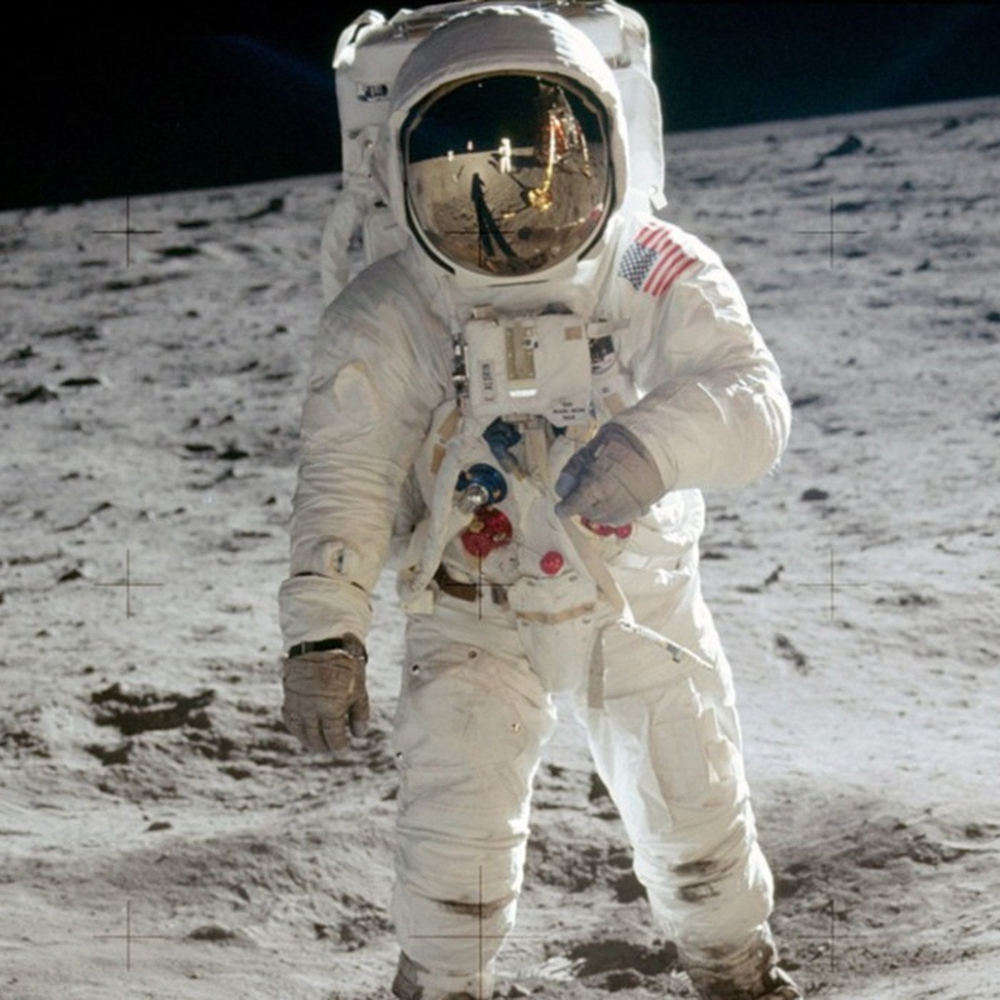 Evrim Ağacı ile Bilime Dair Her Şey!