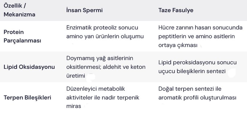 Bu tablo, her iki sistemde de benzer moleküler temaların bulunduğunu ve koku profilinin ortak bileşiklerin üretimiyle şekillendiğini göstermektedir.