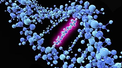Mutasyonların Evrime Etkisinin Matematiği