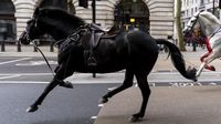 Runaway military horse that rampaged through London is retired