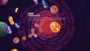 Soner Yalçın'ın "Kara Kutu" İsimli Kitabındaki Aşı İddiaları Hatalı, Kaynaksız, Uydurma veya Çarpıtılmıştır!