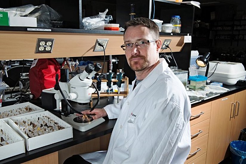 T. Ryan Gregory, Guelph Üniversitesi'ndeki laboratuarında.