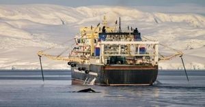 Antarctica Krill Catch Nears Record Limit Threatening Closure