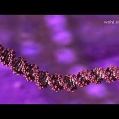 DNA: Seni Sen Yapan Molekül