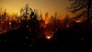 Bridge Fire Seizes Southern California Communities With Relentless Fury