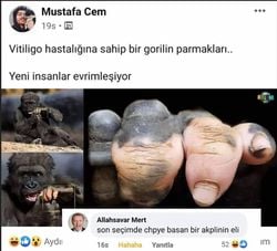 Yeni insanlar evrimleşiyor olabilir mi?