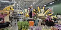 Bloemencorso rijdt door Bollenstreek