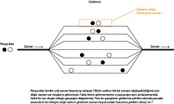 Dolanık parçacıklar çok zaman boyutuna sahip olabilir mi? İnsanlar için zaman lineer ilerleyen bir kavram değil midir?