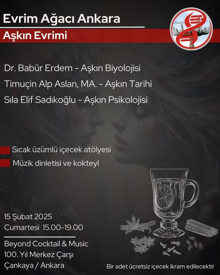 Evrim Ağacı Ankara - Aşkın Evrimi