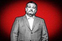 Ted Cruz Says Harris Is Bigoted For Passing Over Buttigieg