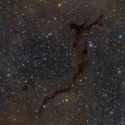  Barnard 150: Seahorse in Cepheus 