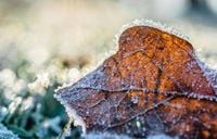 Saints de glace 2025 : peut-on planter avant le 13 mai sans risque de gel ?