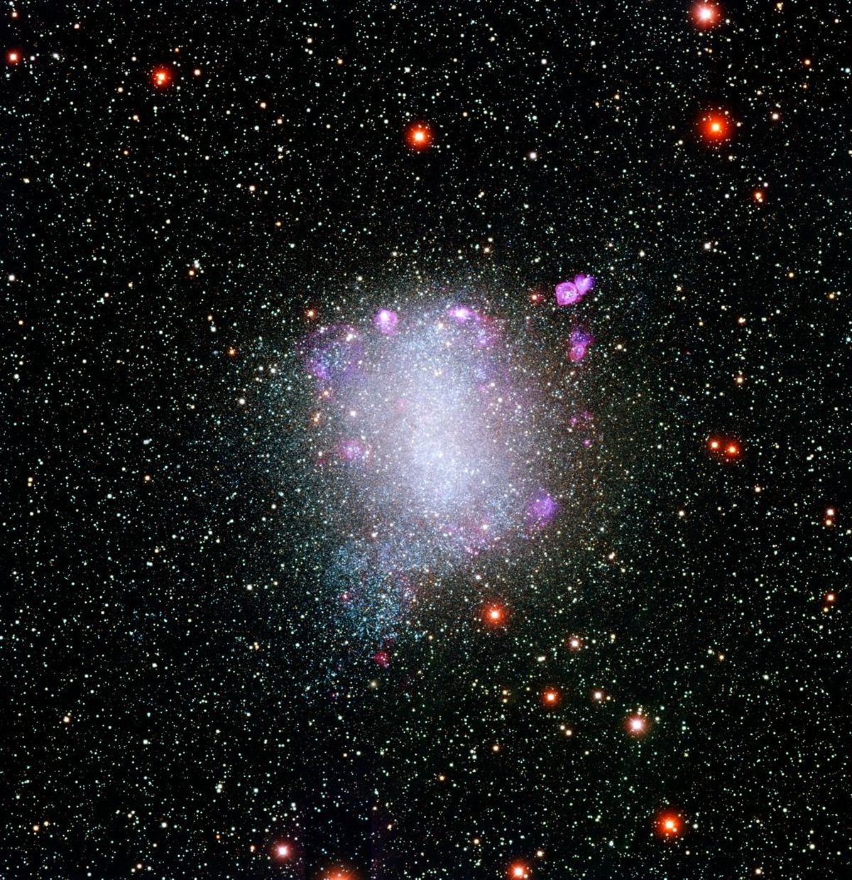 Local Group Galaxy NGC 6822