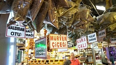 Türkiye'de Aktar Problemi: Ülkemizde Satılan Tıbbi Bitkiler Ne Kadar Güvenli?