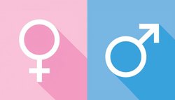 Cinsiyetler neden 2 tane ? ve Cinsiyetin evrim süreci ?