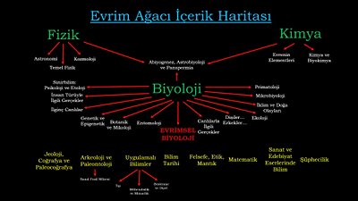 EvrimAgaci.org: Yeni Albümler, Düzenlemeler ve Güncellemeler (28.11.2014)