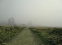 Active Bond Funds Gain Edge as Rate Path Stays Unclear