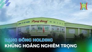 Rạng Đông Holding Temporarily Suspends Operations Amid Financial Crisis