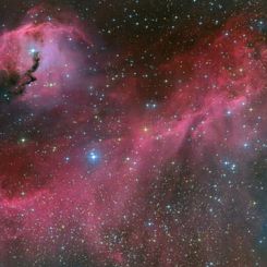  The Seagull Nebula 