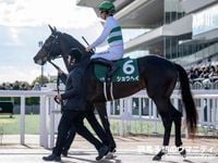 【京都新聞杯2025】有名人の予想に乗ろう！　勝てば賞金的に日本ダービーへの出走がかなう重要な一戦！あの人の見解は！？