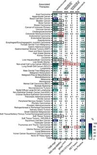 Real-world evidence provides clinical insights into tissue-agnostic therapeutic approvals - Nature Communications