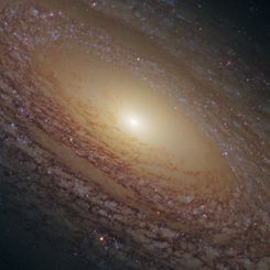 Spiral Galaxy NGC 2841 Close Up