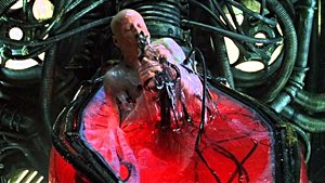 İnsan Vücudunun 7 Yılda Bir Baştan Sona Yenilendiği İddiası Doğru Değil!