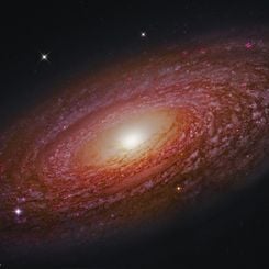  Massive Nearby Spiral Galaxy NGC 2841 