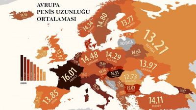 Avrupa'da Penis Uzunluğu Ortalaması Nedir?