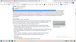 Amerikada insanların olması ne kadar doğru?